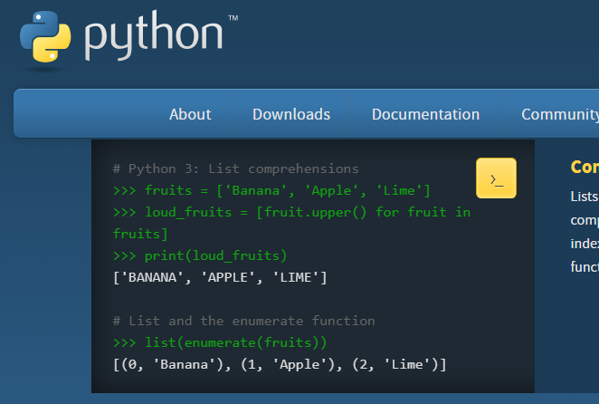 Python 标志（示意图）